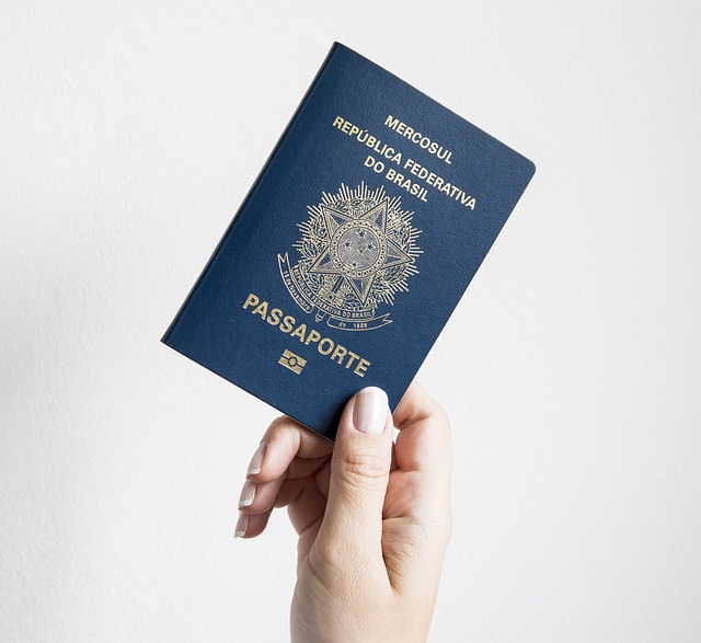 Understanding the Immigrant Visa Process: A Comprehensive Guide